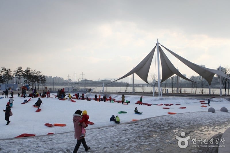 Ttukseom Hangang Park Sledding Hill  (23/25)
