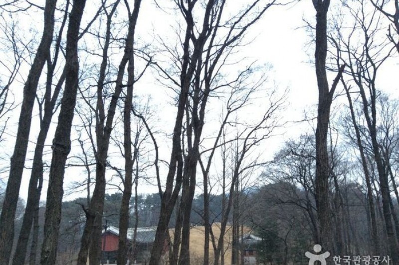 Heolleung / Illeung  (3/4)