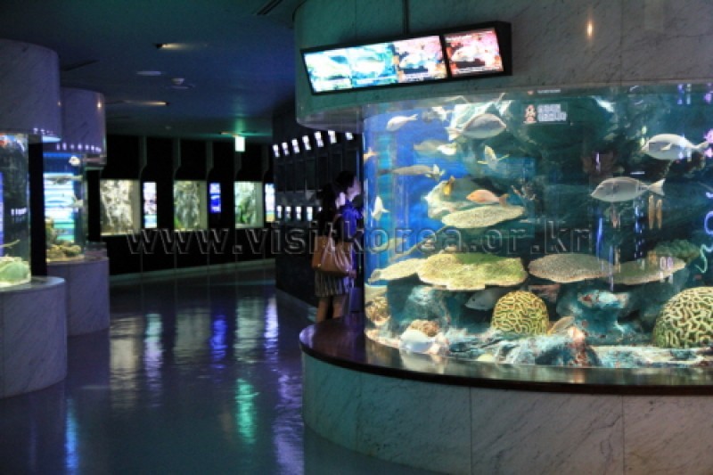 63 Sea World  (1/5)