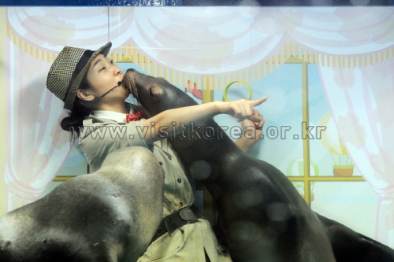 63 Sea World  (3/5)