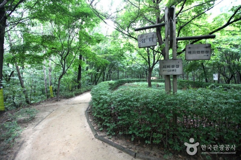 Cheongdam Park  (13/17)