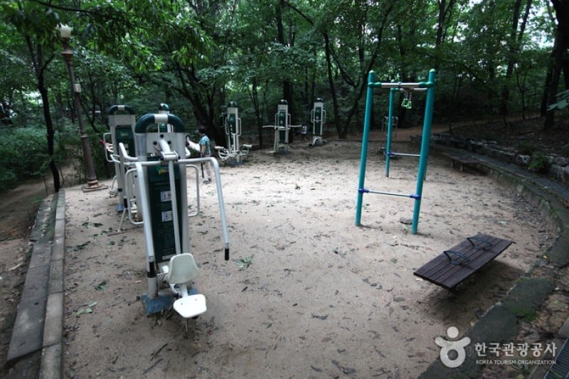 Cheongdam Park  (14/17)
