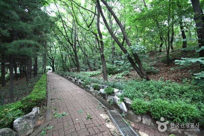 Cheongdam Park  (15/17)
