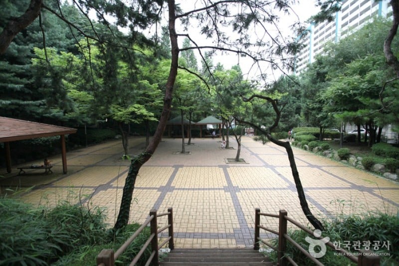 Cheongdam Park  (16/17)