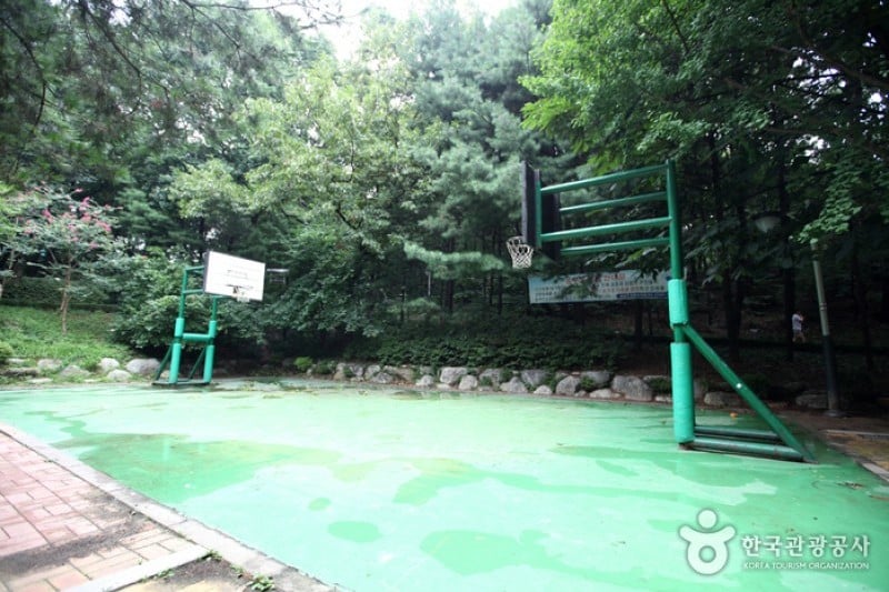 Cheongdam Park  (17/17)