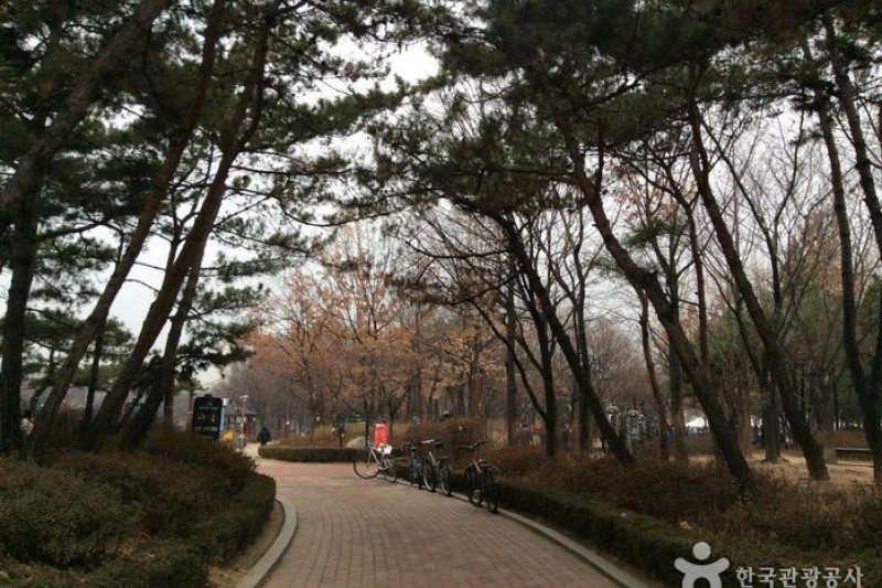 Cheonho Park  (3/4)