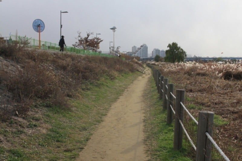 Amsadunchi Ecological Park  (1/4)