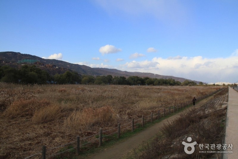 Amsadunchi Ecological Park  (2/4)