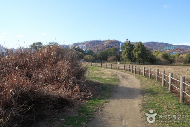 Amsadunchi Ecological Park  (3/4)