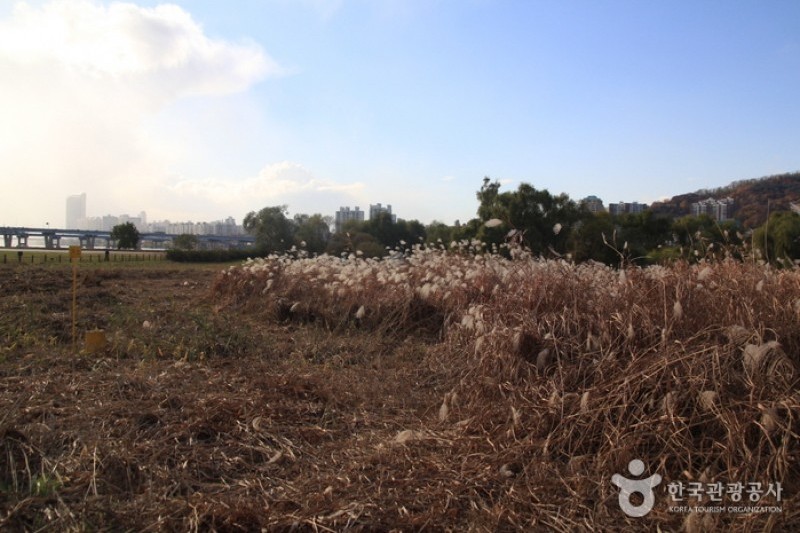 Amsadunchi Ecological Park  (4/4)