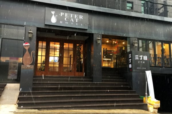 Peter Cat Hotel