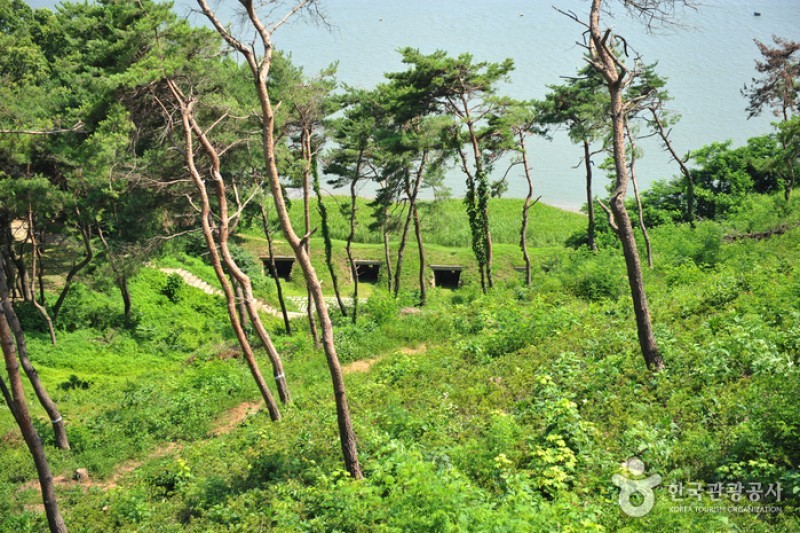 Gwangseongbo Fortress  (12/25)