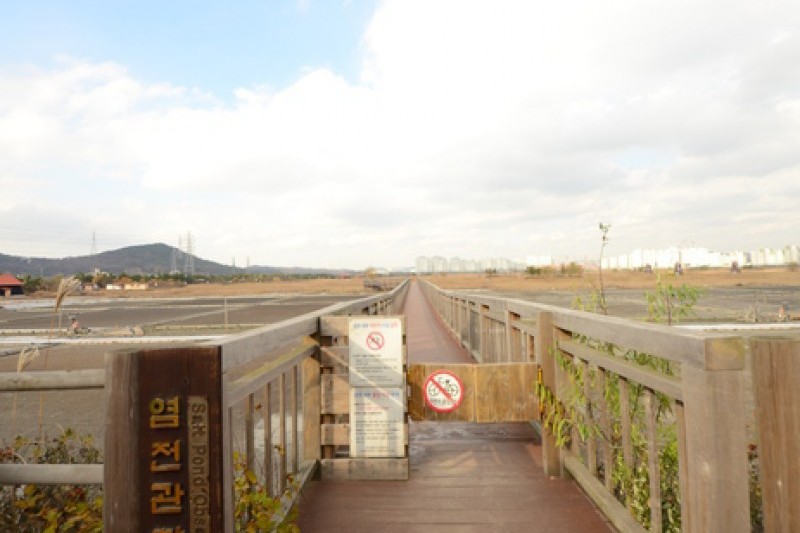 Sorae Ecology Park  (1/2)