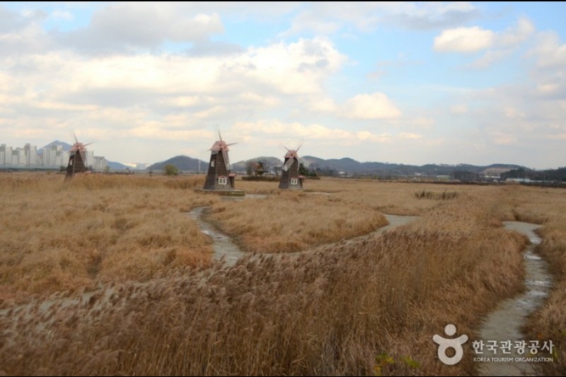 Sorae Ecology Park  (2/2)