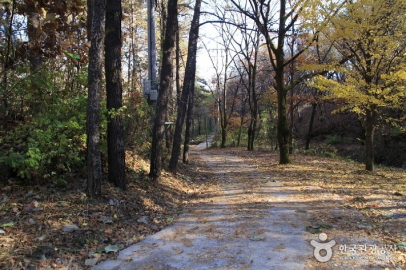 Goryeosan Mountain  (1/4)