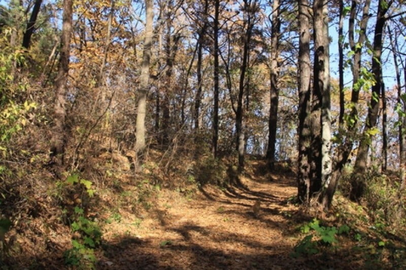 Goryeosan Mountain  (2/4)