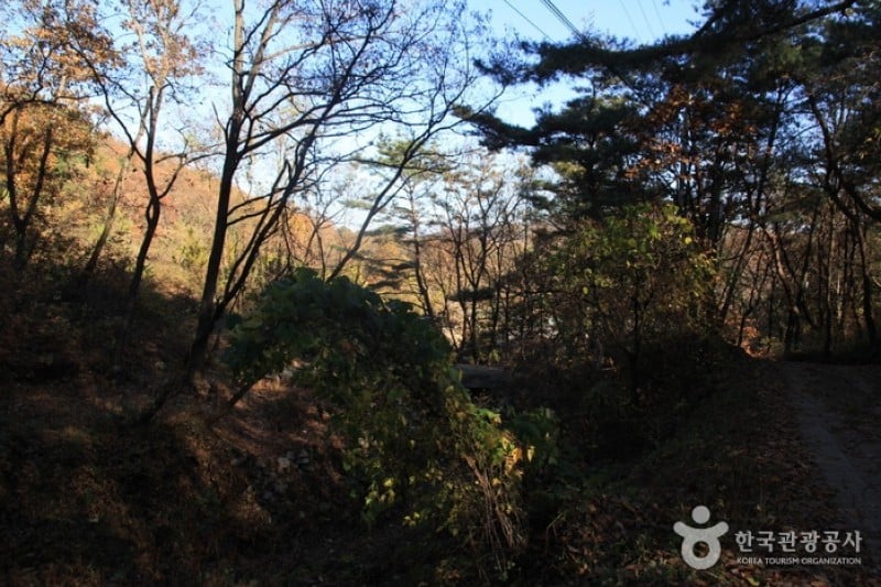 Goryeosan Mountain  (3/4)