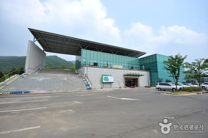 Ganghwa Armiae World  (5/25)