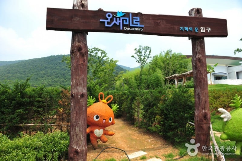 Ganghwa Armiae World  (8/25)
