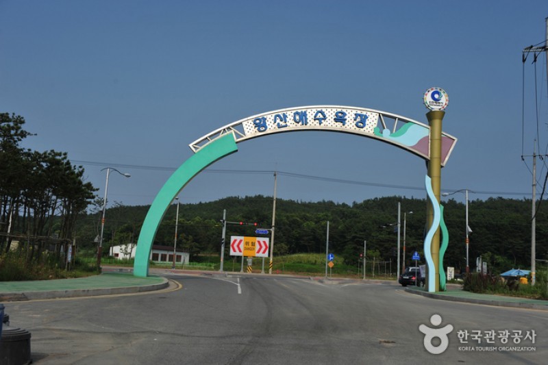 Wangsan Beach  (2/11)