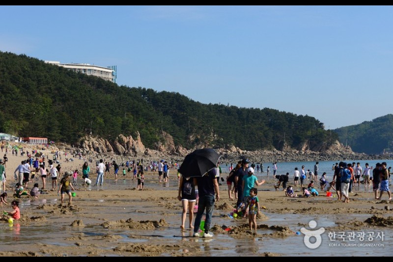 Wangsan Beach  (8/11)