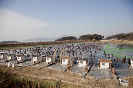 Ganghwa Icefish Festival 