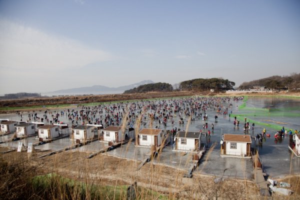 Ganghwa Icefish Festival