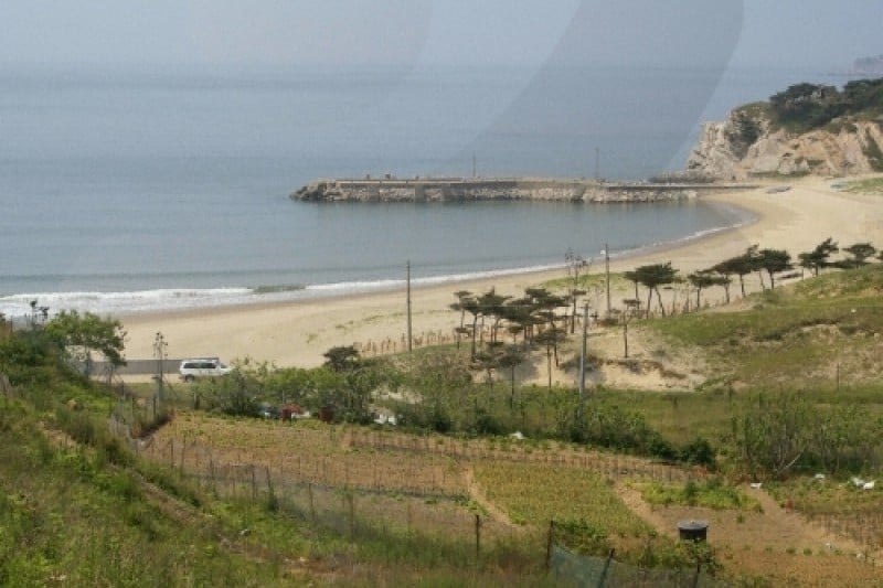 Daecheongdo Island  (6/48)