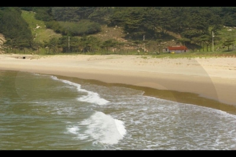 Daecheongdo Island  (8/48)