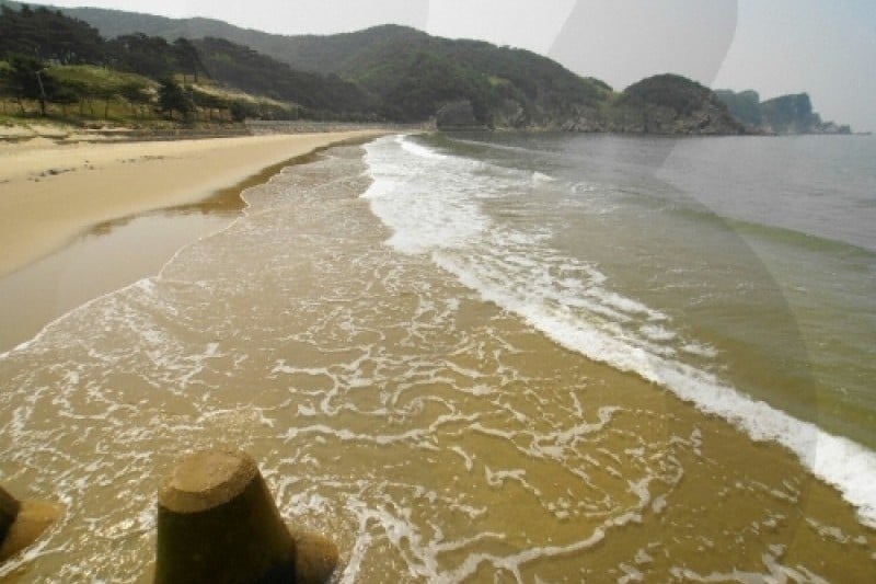 Daecheongdo Island  (10/48)