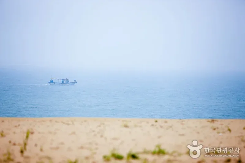 Daeijakdo Island (대이작도) (2/8)