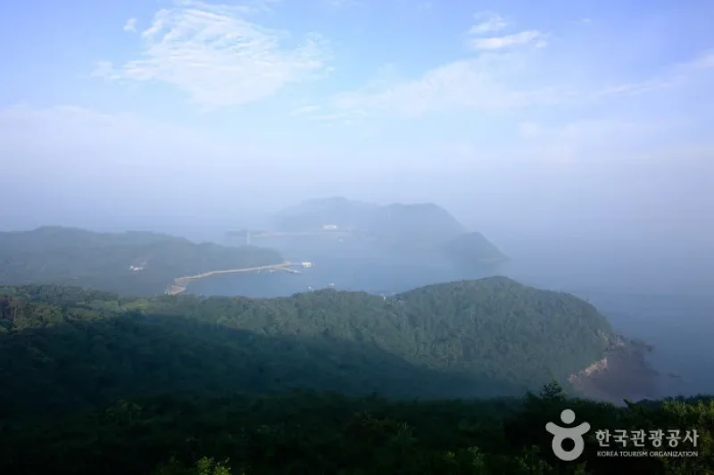 Daeijakdo Island (대이작도) (6/8)