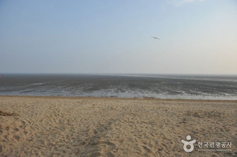 Dongmak Beach  (3/12)