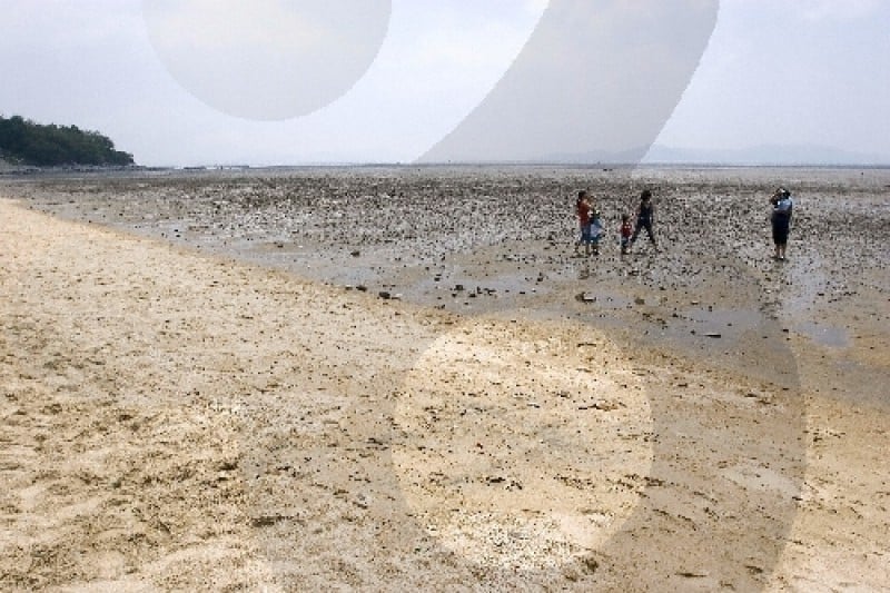 Dongmak Beach  (6/12)