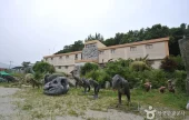 Ganghwa Eunam Natural &amp; Science Museum 