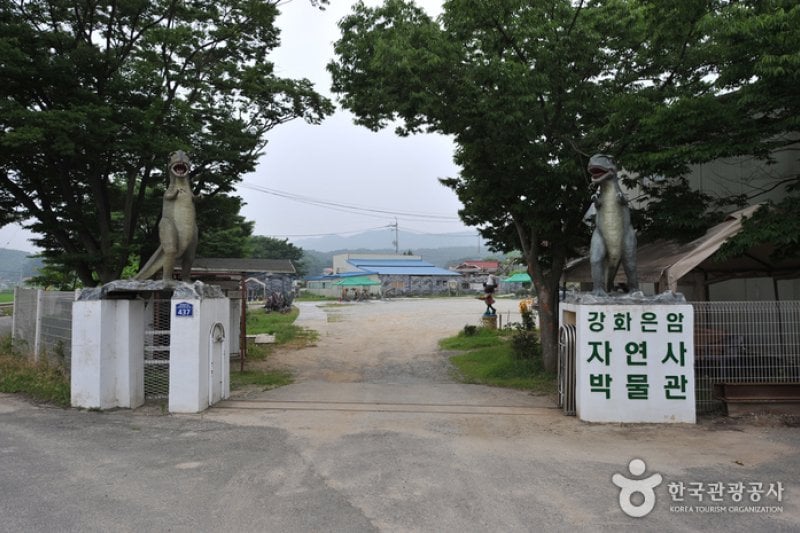 Ganghwa Eunam Natural &amp; Science Museum  (4/6)