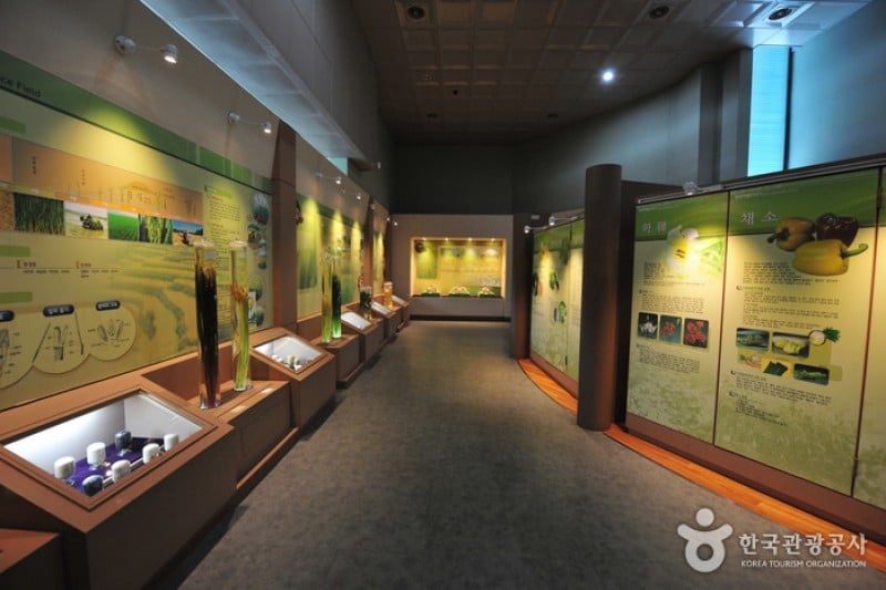 Ganghwagun Agricultural Center  (1/6)