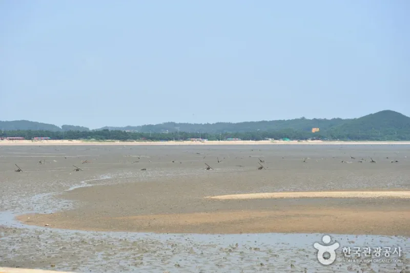 Yongyudo Island  (2/3)