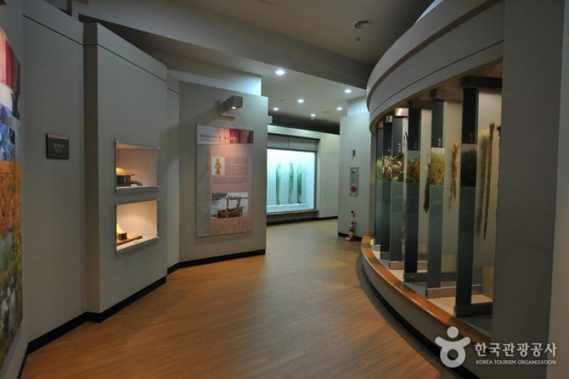 Hwamunseok Cultural Center  (2/6)