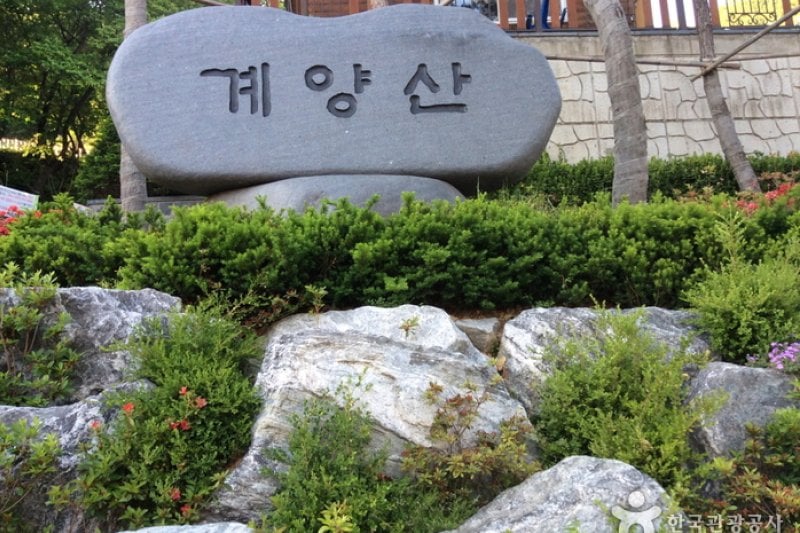 Gyeyangsan Mountain (계양산) (1/8)