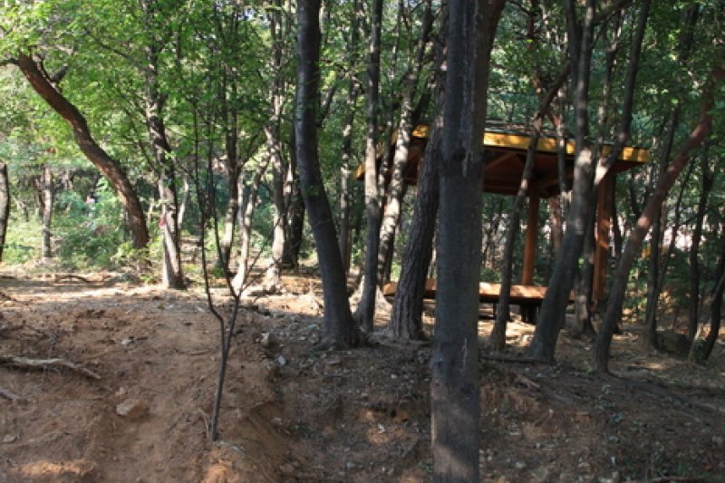Gyeyangsan Mountain (계양산) (5/8)