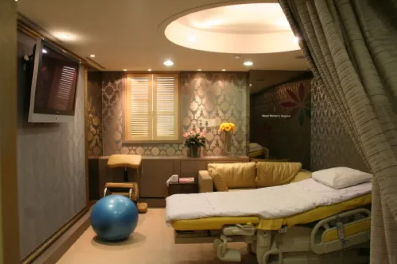Seoul Women's Hospital  (2/6)