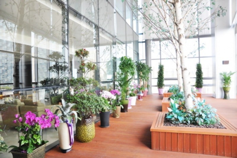Jian Health Promotion Center (3/15)