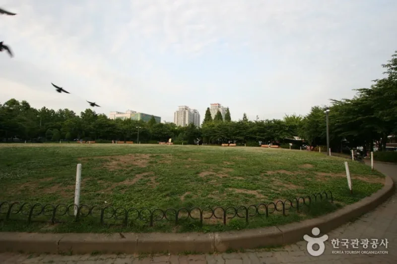 Sinteuri Park (신트리공원) (1/7)