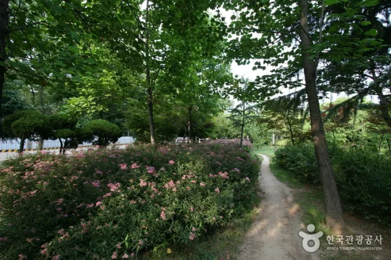 Sinteuri Park (신트리공원) (3/7)