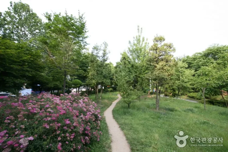 Sinteuri Park (신트리공원) (4/7)