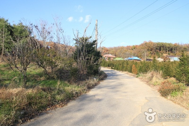 [Ganghwa Nadeul-gil Course 7] Road to the Mud Flats ([강화 나들길 제7코스] 갯벌보러 가는 길) (5/5)
