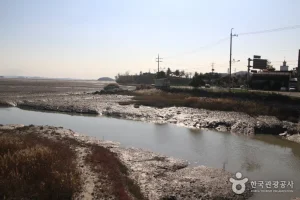 [Ganghwa Nadeul-gil Course 8] A Bird Watching Road ([강화 나들길 제8코스] 철새 보러 가는 길)