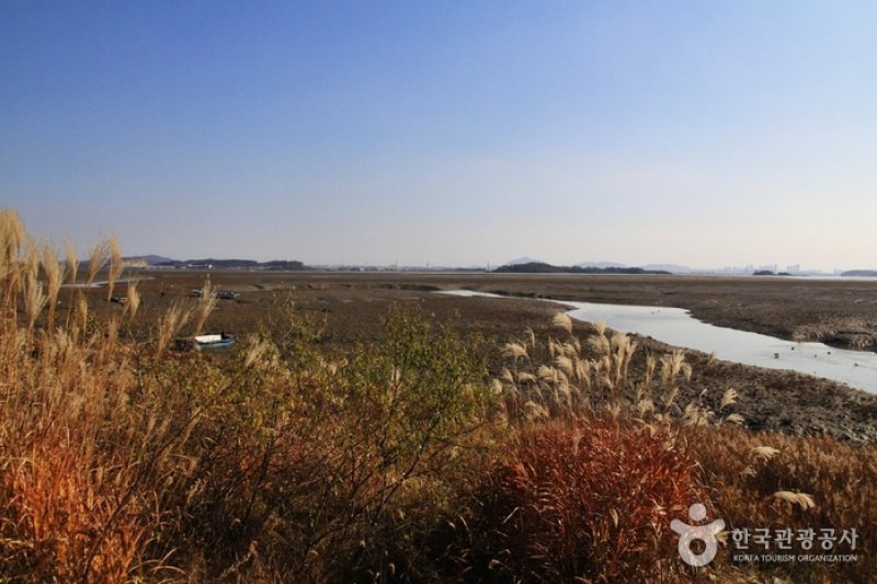 [Ganghwa Nadeul-gil Course 8] A Bird Watching Road ([강화 나들길 제8코스] 철새 보러 가는 길) (2/4)