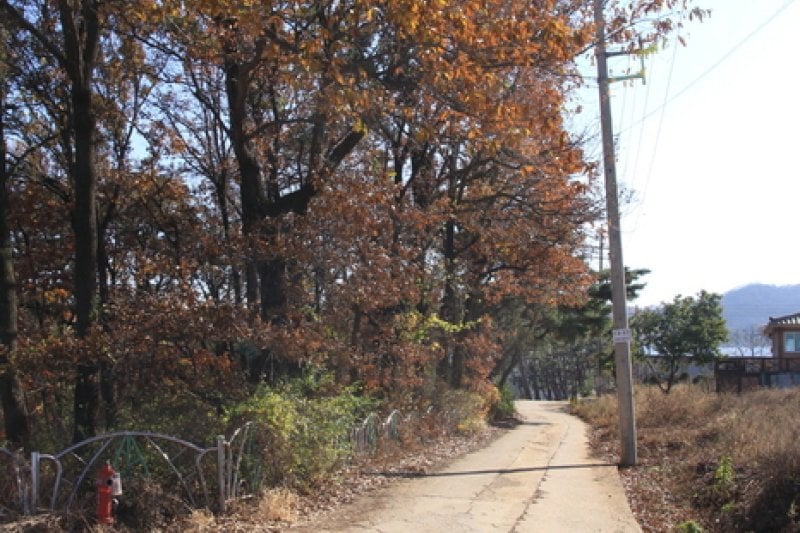 [Ganghwa Nadeul-gil Course 3] Road to the Royal Tombs ([강화 나들길 제3코스] 능묘 가는 길) (3/5)